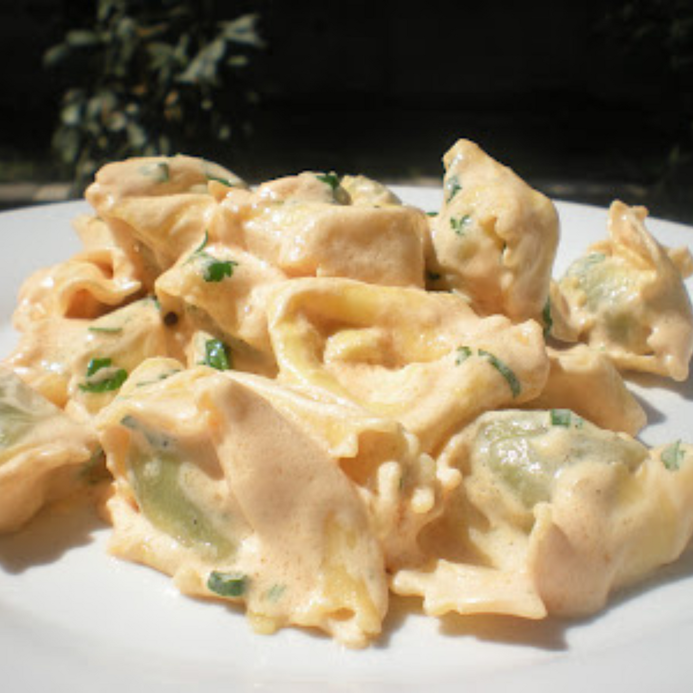 Ravioli Ricotta Spinaci with Truffle Sauce Piazza 17